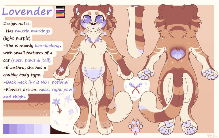 MEDIUM - USD: 65 / PLN: 260